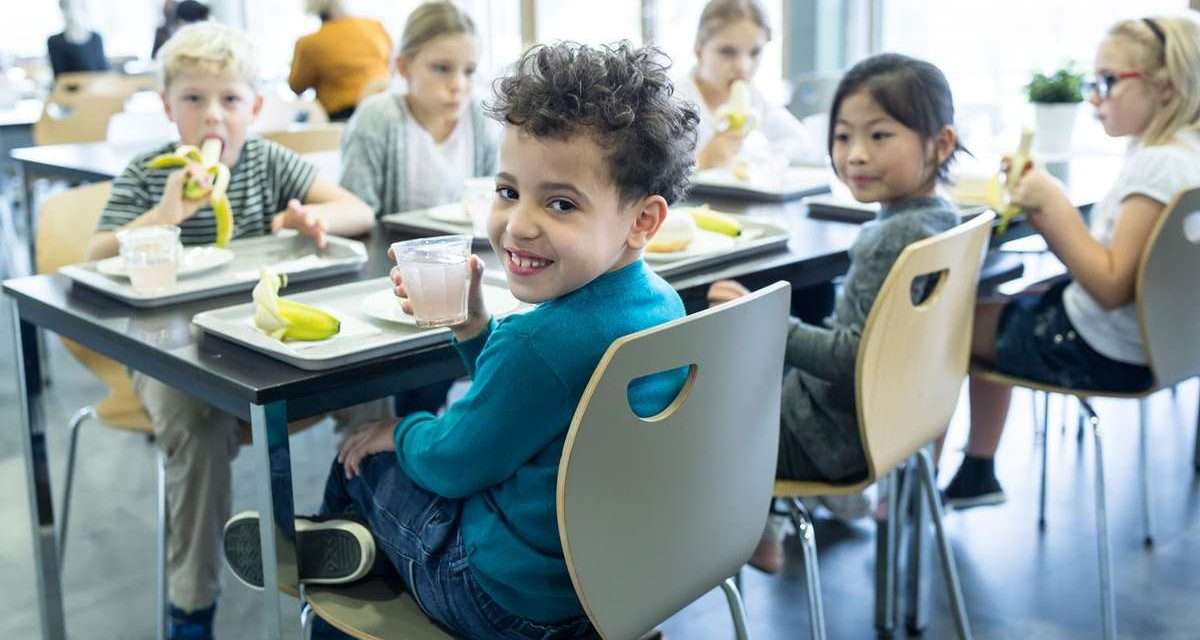 El proyecto ALINFA consigue aperitivos de maíz horneados con un 25% menos de sal y galletas y yogures naturales sin azúcares añadidos