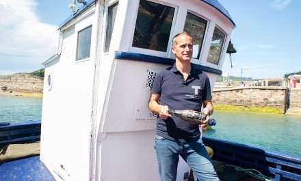CRUSOE TREASURE, primera bodega submarina del mundo, es capaz de producir simultáneamente 25 mil botellas de vino bajo el mar logrando mejoras organolépticas