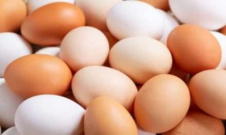 Alcampo pone en el mercado su segundo producto con tecnología Blockchain