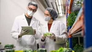 Lunes, 29 de febrero 2024 6 Los Premios Btem Buscan Las Empresas Mas Disruptivas De Euskadi En El Sector Alimentario