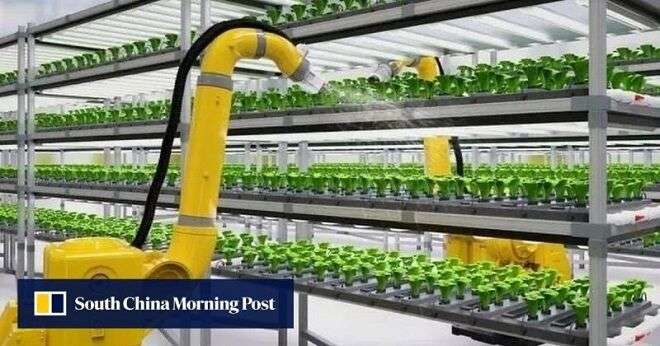 Miércoles, 14 de febrero de 2024 1 China Inaugura Una Instalacion De Agricultura Vertical De 20 Pisos