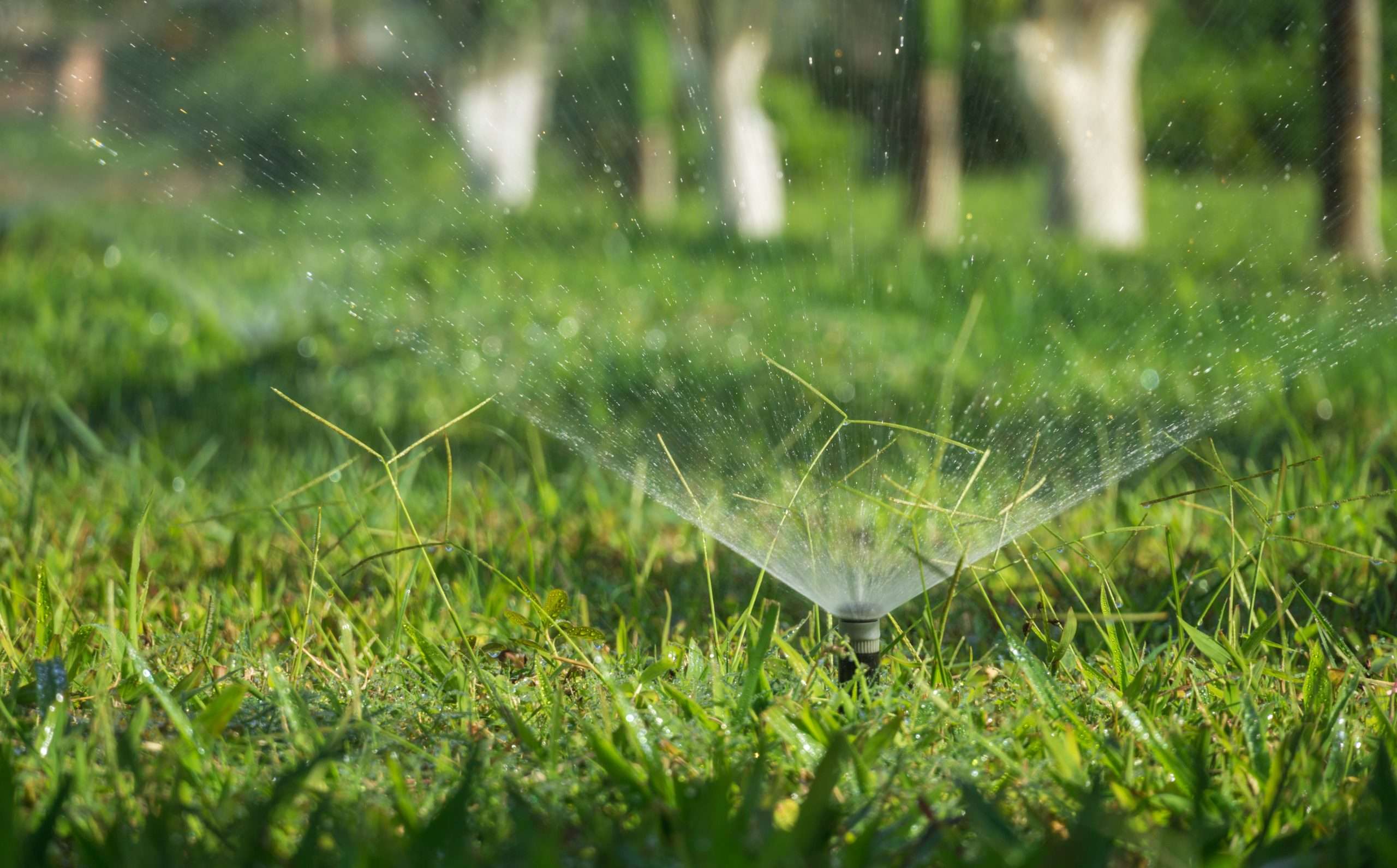 El Gobierno foral destina 11 millones a ejecutar en Ribaforada la primera modernización de un regadío en Navarra con energía renovable