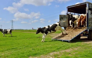 La Ce Invertira 600 Me Para Apoyar La Investigacion Y La Innovacion En Agroecologia Y Salud Y Bienestar Animal