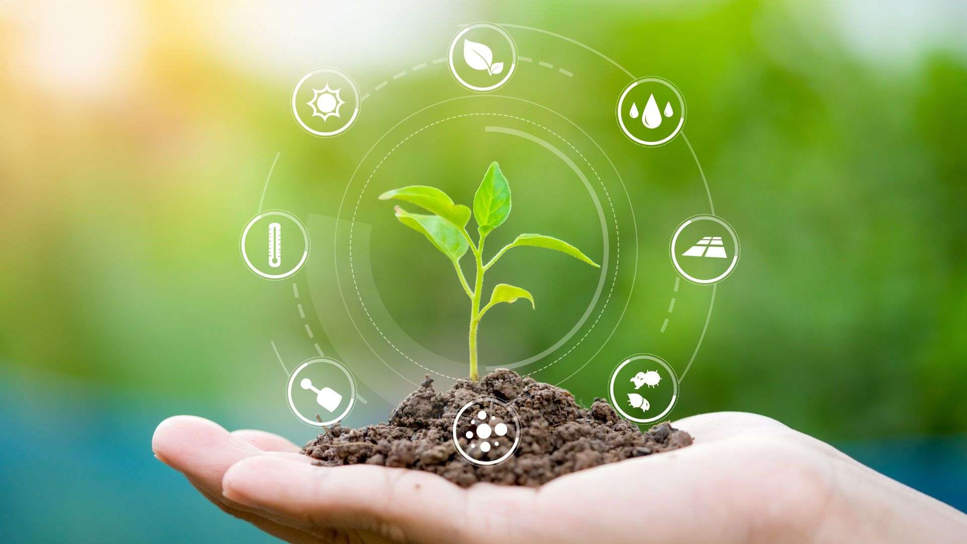 Industria pone en marcha una nueva edición de la Aceleradora AGROFOODTech para proyectos empresariales en el sector agroalimentario