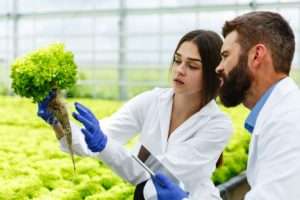 Asebio Crea Un Grupo De Trabajo De Innovacion Alimentaria Para Impulsar El Potencial Biotecnologico Del Sector