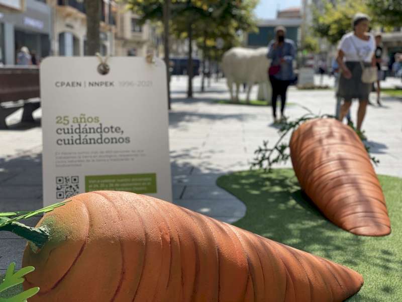 La exposición ‘Crece en ecológico’ viaja esta primavera a las bibliotecas de San Francisco, Cintruénigo y Tafalla