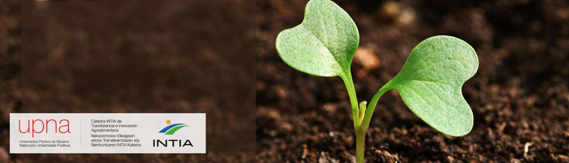 Especialistas en Agricultura Regenerativa analizan en Navarra las estrategias de futuro de este modelo
