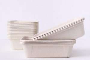 Biodegradable Bowl Made From Natural Fiber On White Background,