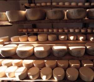 Quesos Sobre Estantes De Madera.