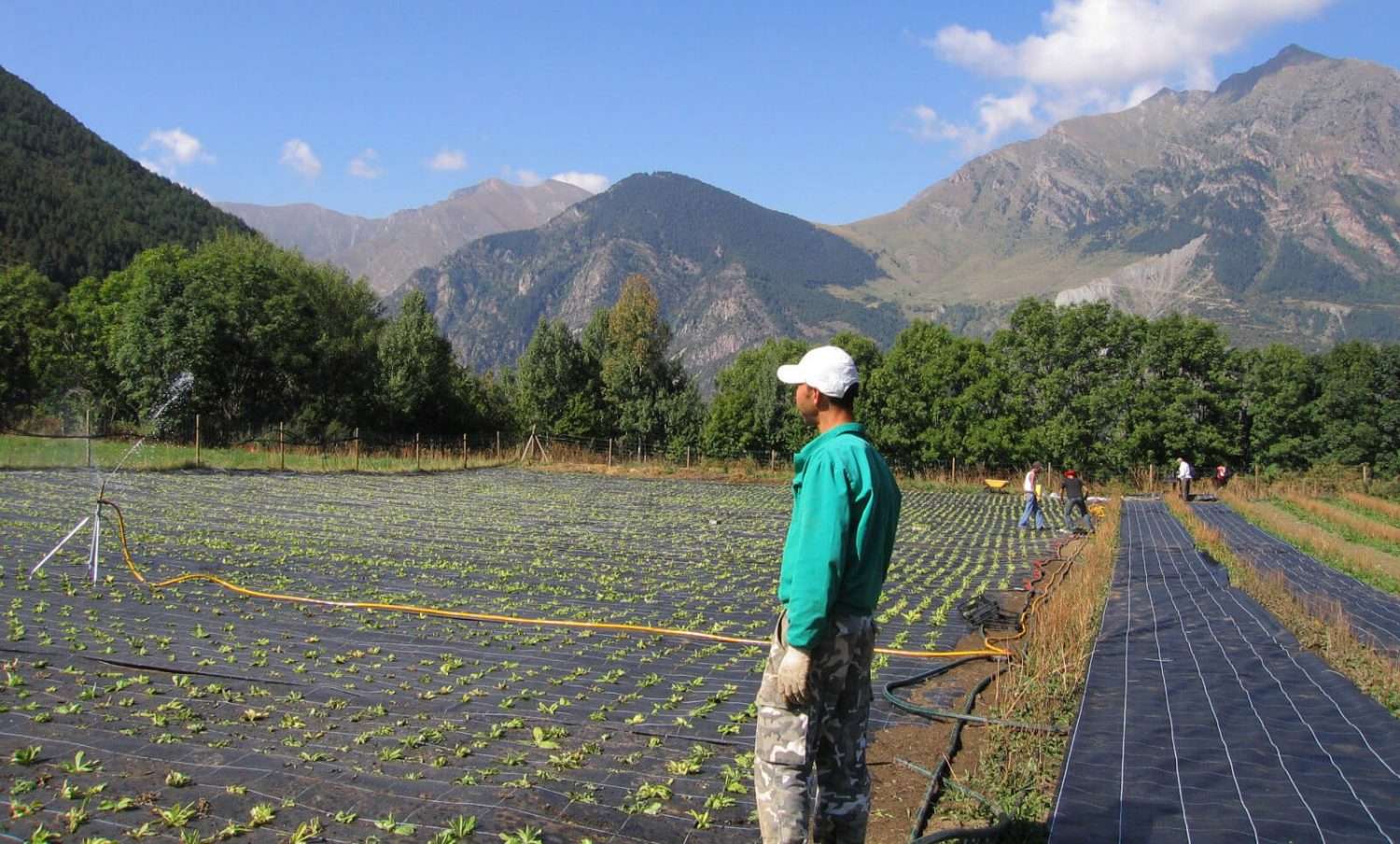 La superficie de agricultura ecológica en la UE sigue aumentando