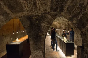 Viernes, 7 de junio de 2024 10 Las Rutas Del Vino Logran Un 18 Mas De Visitas Y Generar 100 Millones De Euros En 2023