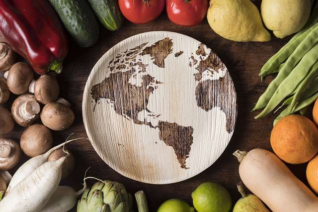 Tecnologías de vanguardia en el cultivo y distribución de verduras y hortalizas frescas