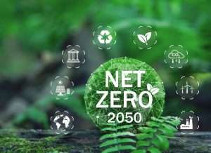 Proyecto Co2farm Identificando Las Claves Para Establecer Un Mercado De Agricultura De Carbono