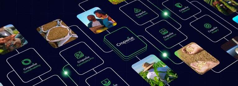 Lunes, 1 de julio de 2024
