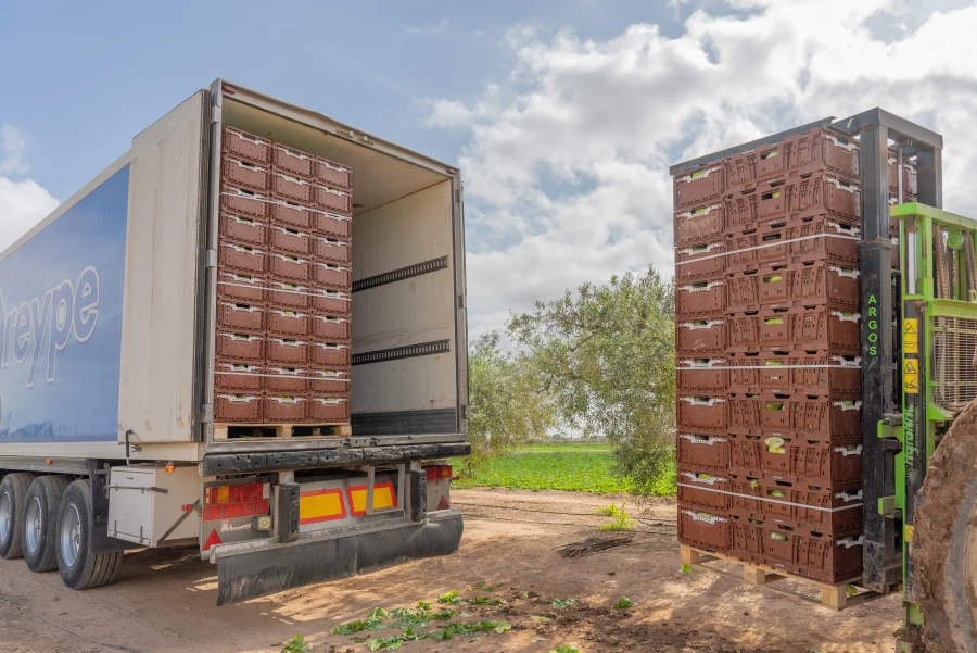 TOSCA presenta sus nuevos contenedores plegables para la industria hortofrutícola