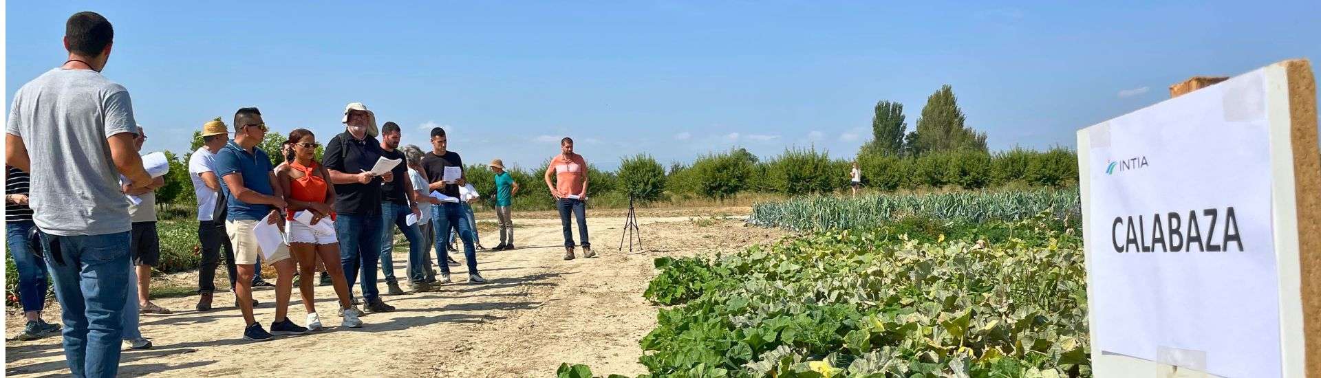 12 ensayos y 73 variedades analizadas por INTIA para la productividad y sostenibilidad de los cultivos hortícolas