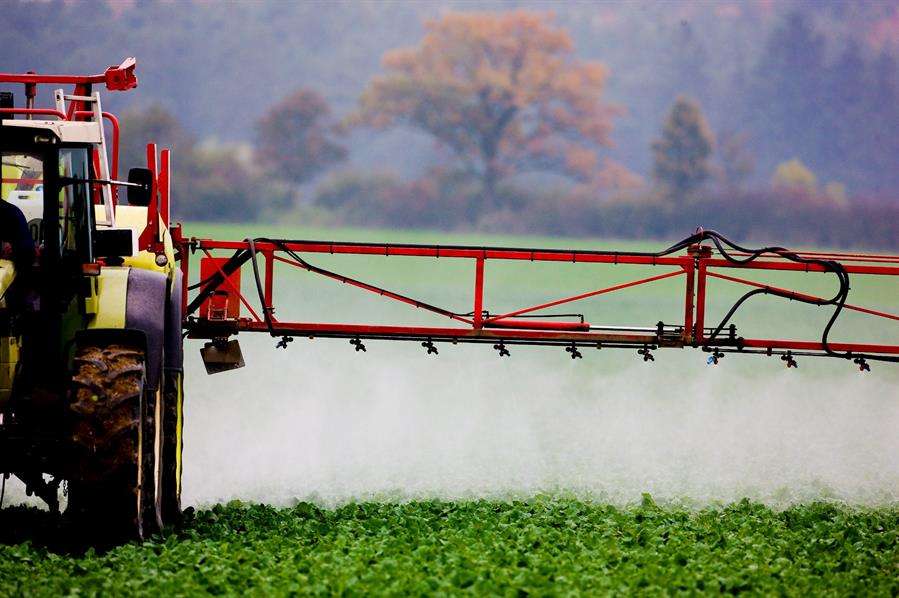 Abre la segunda convocatoria del perte agroalimentario dotado con 100 millones 1 Applemark