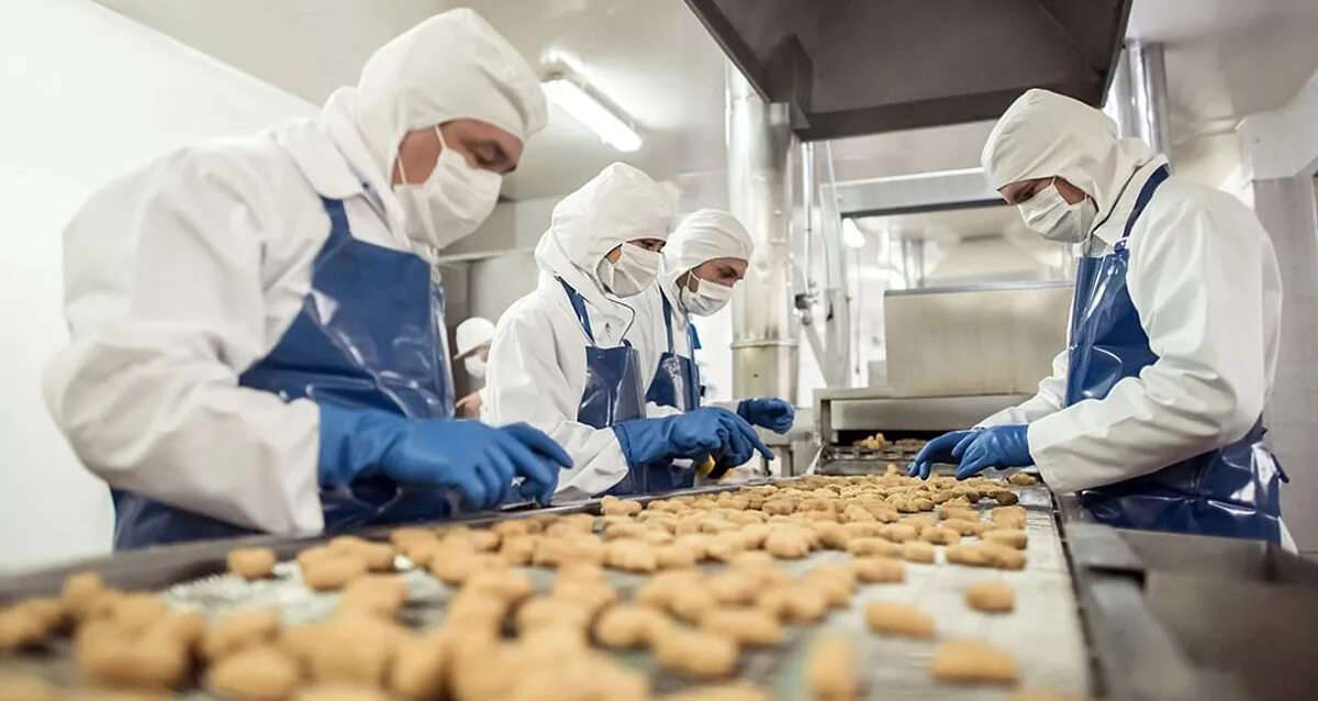 Nace FOOD FORWARD LAB, una plataforma de innovación para la industria alimentaria 1 Nace Food Forward Lab, Una Plataforma De Innovación Para La Industria Alimentaria