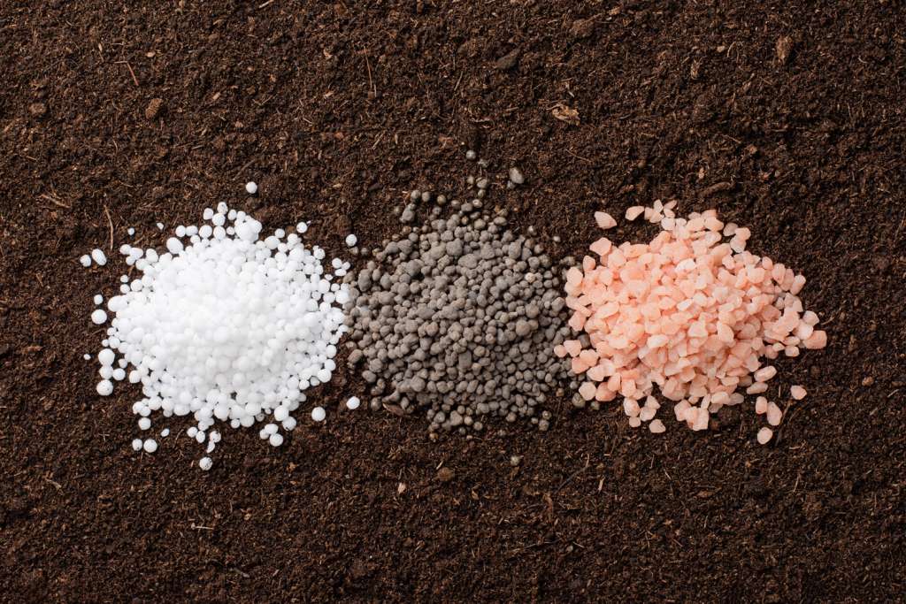 Transformar los residuos agroalimentarios en biofertilizantes para una agricultura más sostenible