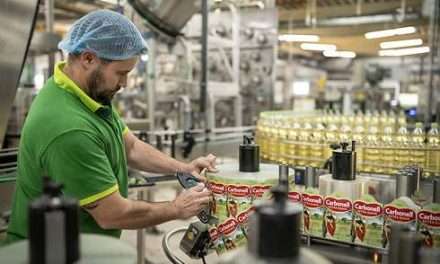 Un nuevo gigante del aceite español: Dcoop adelanta a la italiana Coricelli y ofrece 470 millones por Deoleo