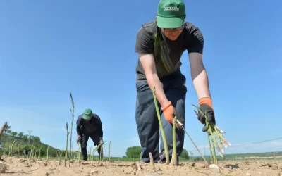 El programa Cultiva 2026 abre el plazo de solicitudes para jóvenes agricultores