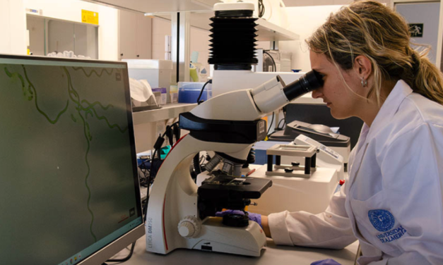 Un estudio financiado por la Junta de Andalucía consigue biomasa de microalgas procedentes de depuración de aguas residuales con mayor contenido de proteínas