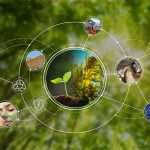 La nueva alianza europea de bioeconomía abre mercados alternativos para agricultores y productores forestales